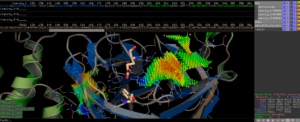 Coronavirus SARS-CoV-2 (formerly known as Wuhan coronavirus and 2019-nCoV) – what we can find out on a structural bioinformatics level